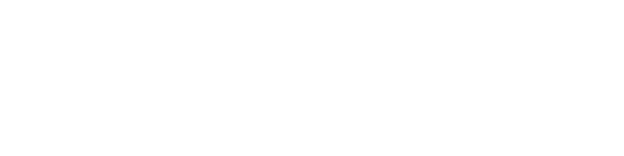 Punt.com